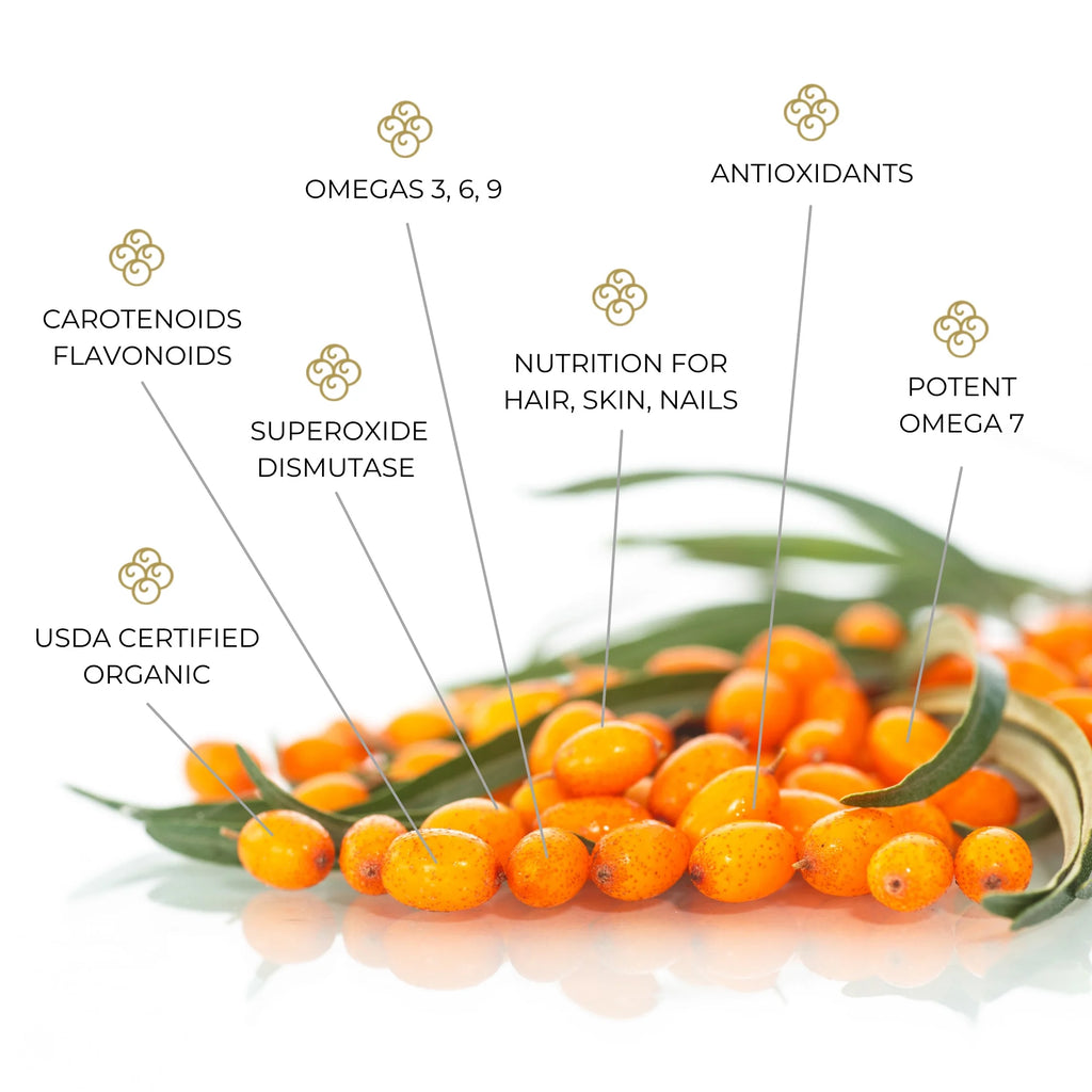 Sea Buckthorn Omega-7 Softgels 120ct a7