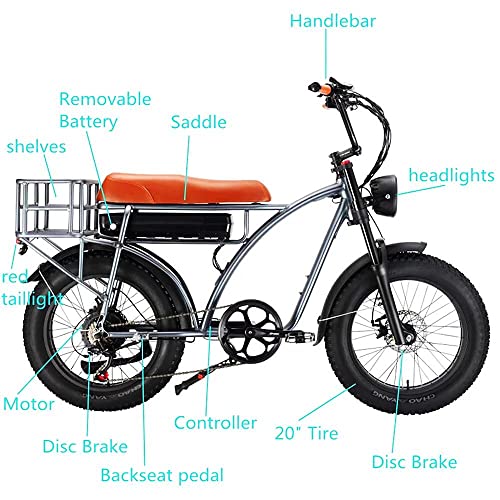 Dual Motor 2000W Retro Electric Bicycle 7-Speed 48V 18Ah k7