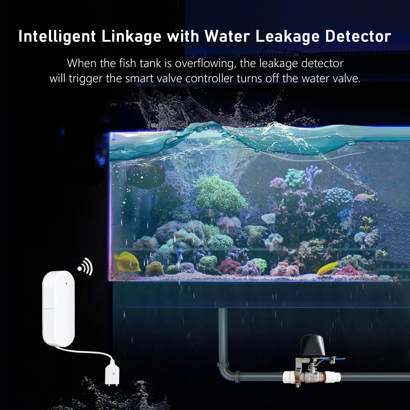 Smart Water Valve Controller with Wi-Fi Remote Access v7