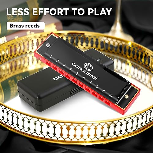 Blues Harmonica 10 Hole Key of C with Case a7