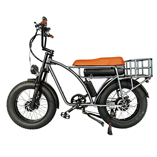 Dual Motor 2000W Retro Electric Bicycle 7-Speed 48V 18Ah k7