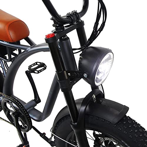 Dual Motor 2000W Retro Electric Bicycle 7-Speed 48V 18Ah k7