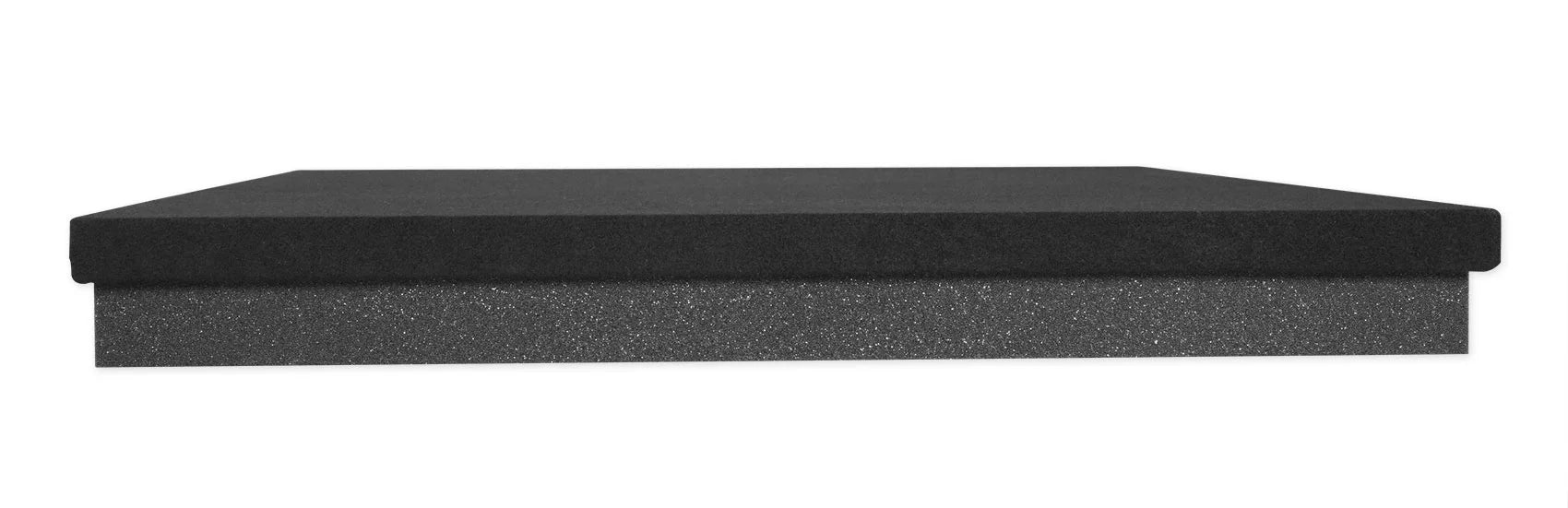 10" Powered Studio Subwoofer with Mic and Headphones a7