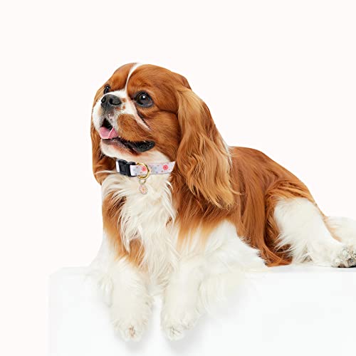 Dog Collar with Pendant for Small Medium Large Dogs White Peach A7