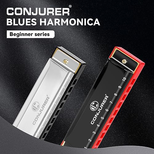 Blues Harmonica 10 Hole Key of C with Case a7