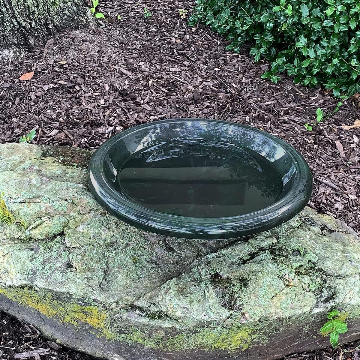 Bird Bath Bowl Gloss Rim Hunter Green k7