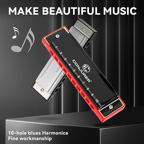 Blues Harmonica 10 Hole Key of C with Case a7