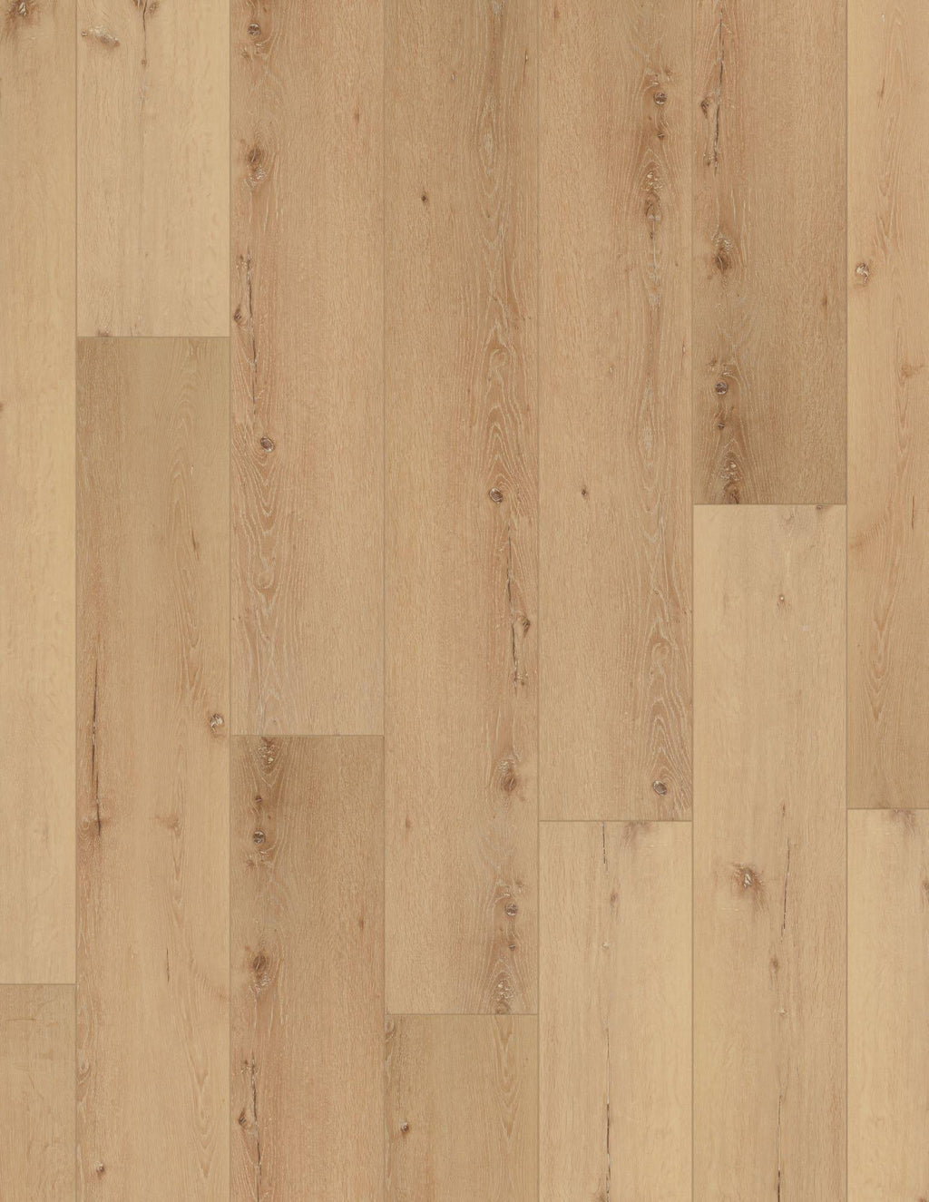 COREtec Pro Plus XL Enhanced Cairo Oak 9x22 x 73x22