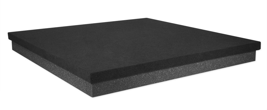 10" Powered Studio Subwoofer with Mic and Headphones a7