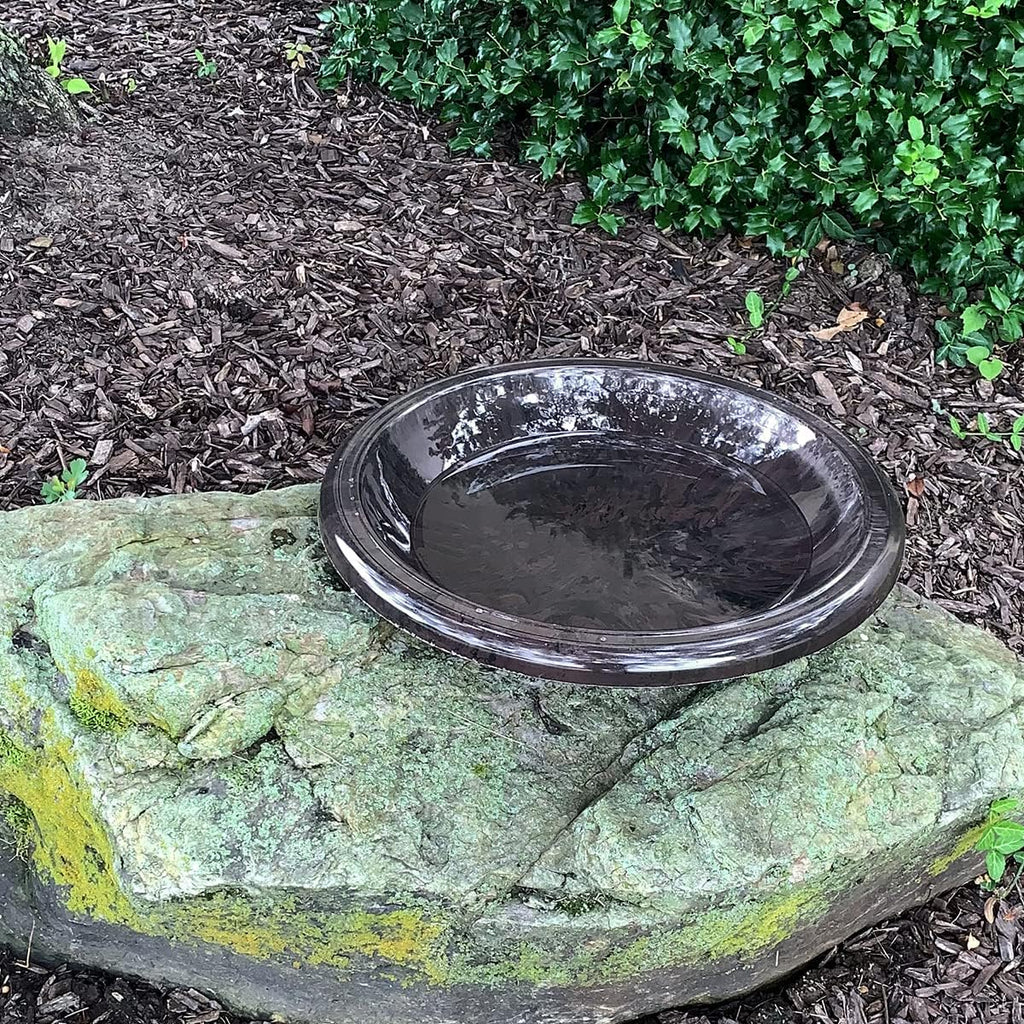 Bird Bath Bowl with Gloss Rim Antique Brown K7m