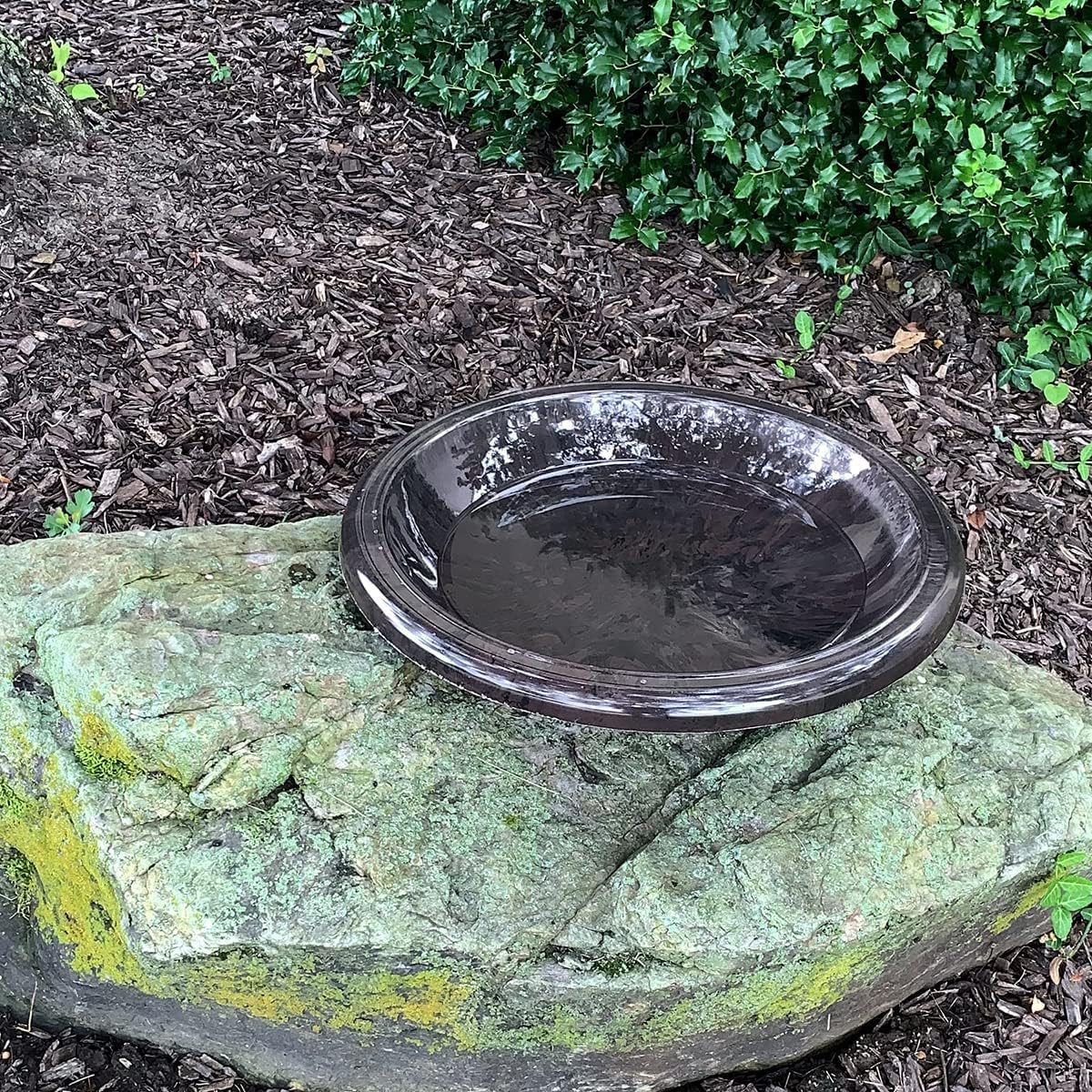 Bird Bath Bowl with Gloss Rim Antique Brown K7m