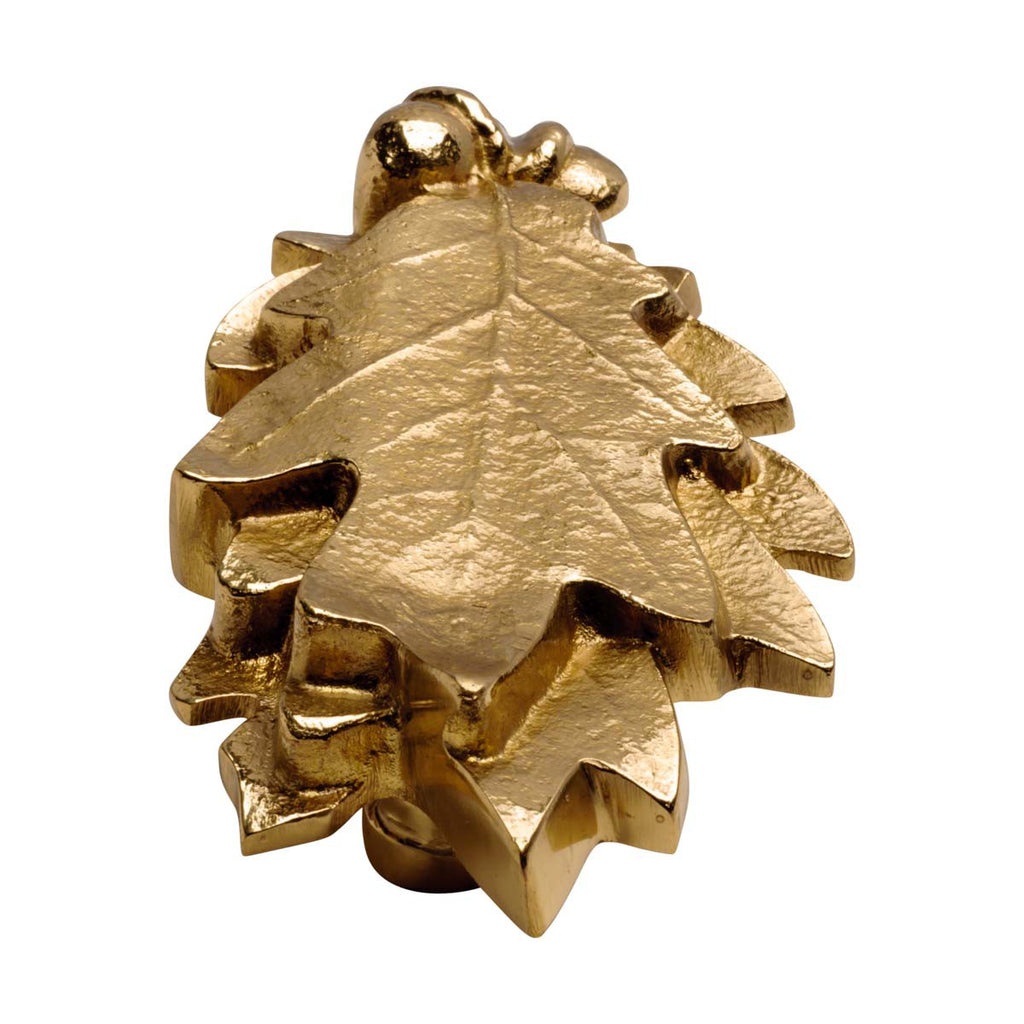 Solid Brass Oak Leaf Door Knocker 6in A7