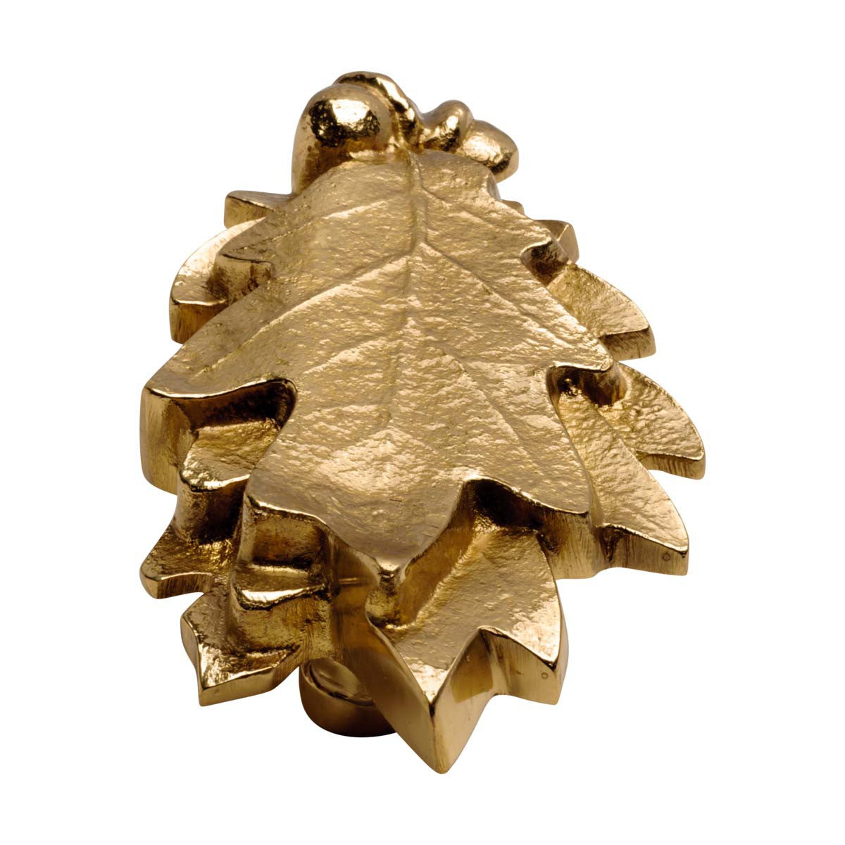 Solid Brass Oak Leaf Door Knocker 6in A7