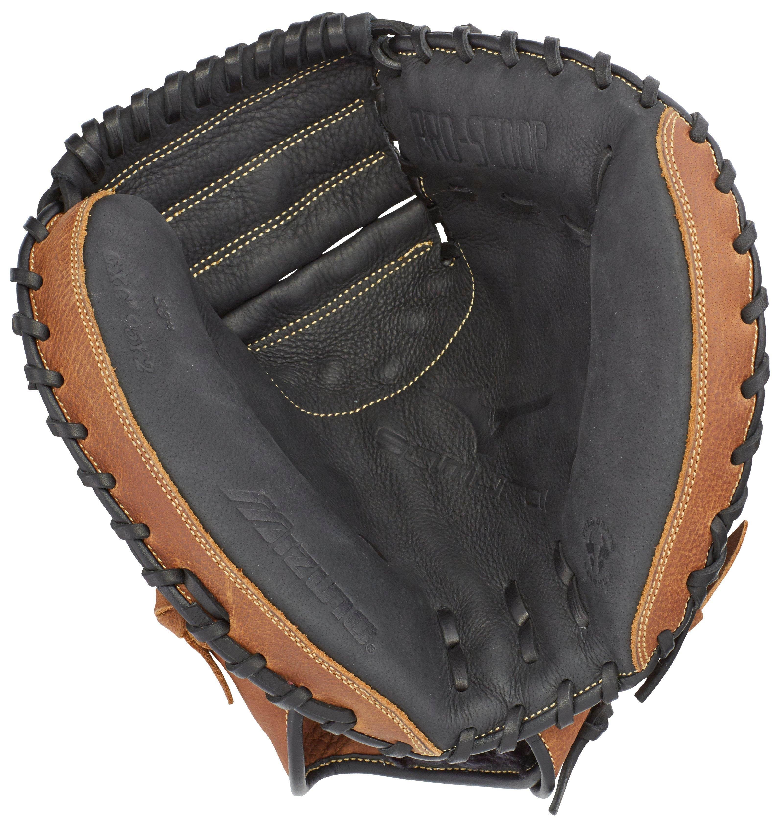 Catcher's Mitt 33x22 k7