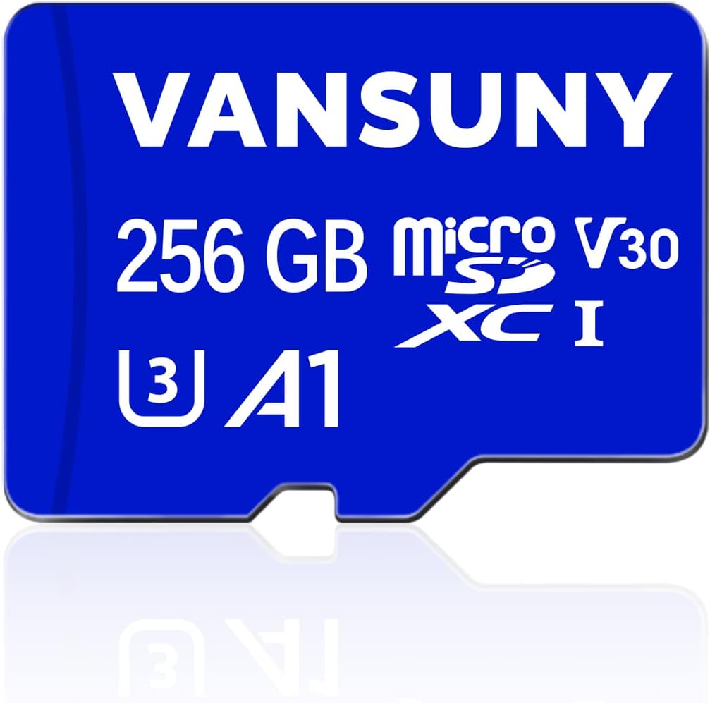 ro SD 256GB roSDXC Memory with SD Adapter A1 App Performance V30 4K Video Recording C10 U3