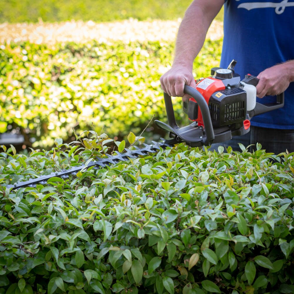 Gas Hedge Trimmer 24x22 Double-Sided Blades a7