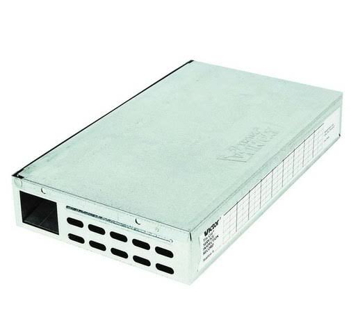 Mouse Trap Clear Lid 12-Pack K7m