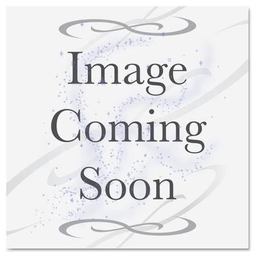 Disinfectant Wipes, 6 x 8, 800 Count A7