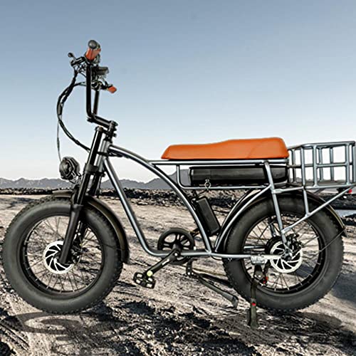 Dual Motor 2000W Retro Electric Bicycle 7-Speed 48V 18Ah k7