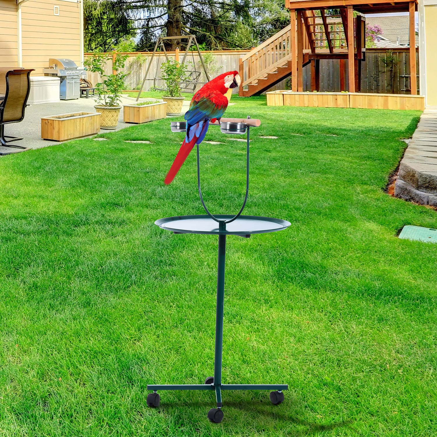 Bird Training Activity Playground With Perch T7