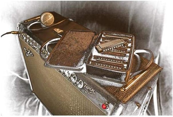 Harmonica Set of 7 with Case C G A D F E Bb k7